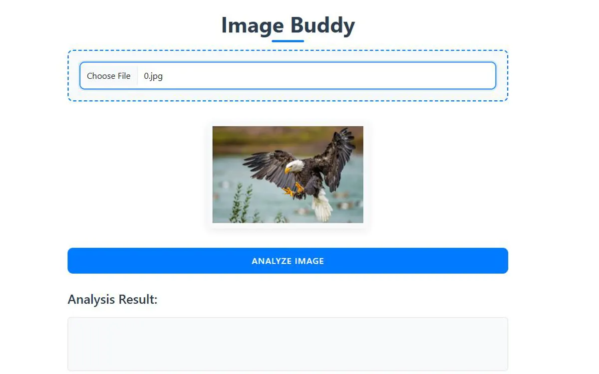 Image Buddy with a photo of an eagle uploaded.