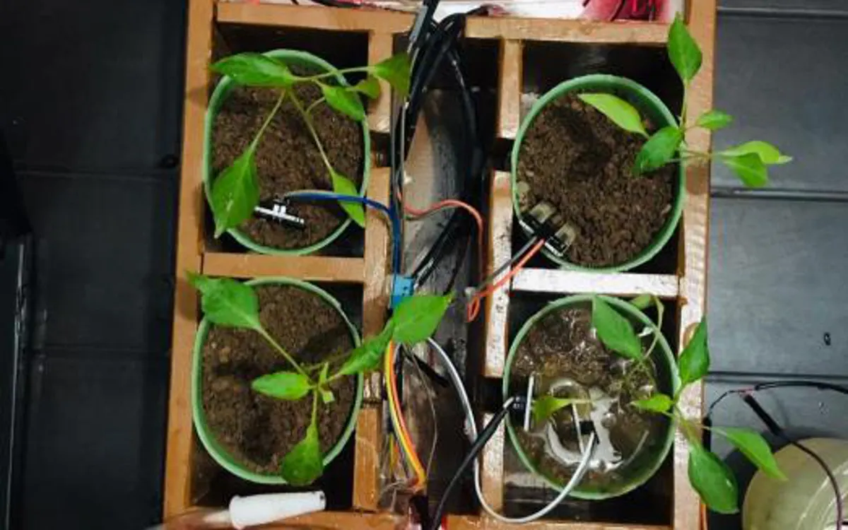 Planted pots with moisture sensors and wiring.